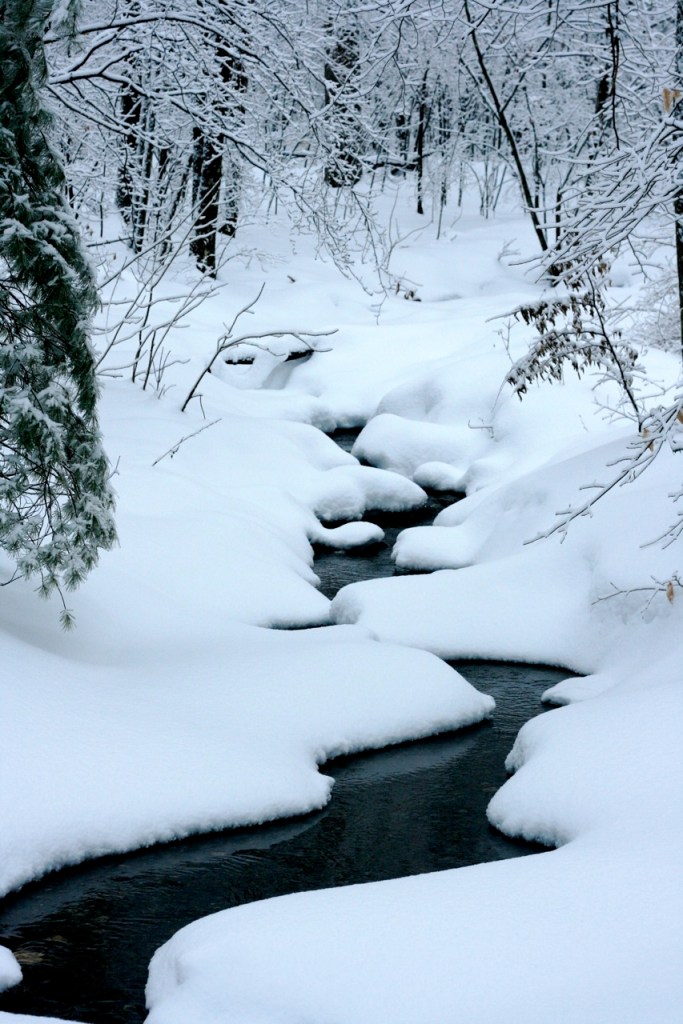 frozen stream Seth Davis