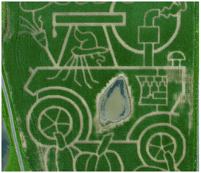 Samascott’s Annual Corn Maze Now Open in&nbsp;Kinderhook