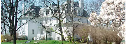 Online Class – Dahlias, Dyes and Desserts: Decorating Cakes Using Edible&nbsp;Flowers