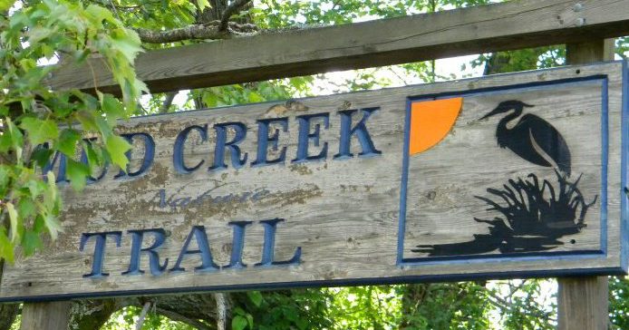 Mud Creek Environmental Learning Center Presents ‘Nocturnal Animals and Night Hike’, Mar&nbsp;9