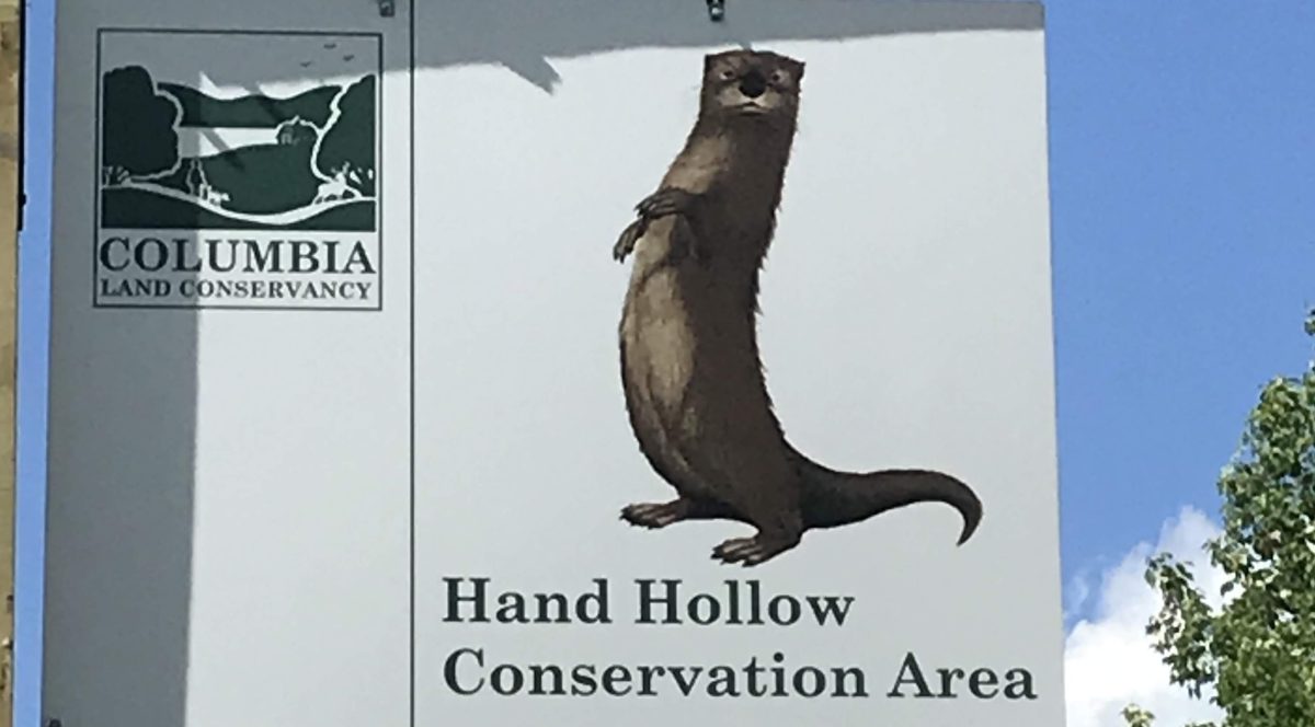 Columbia Land Conservancy’s Sip & Snap: Herons & Hefeweizen, Jun&nbsp;21