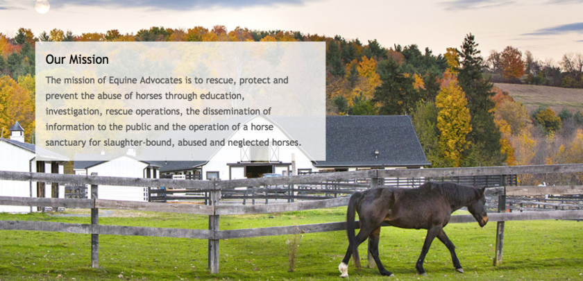 Screen Shot 2018-09-23 at 7.01.59 PM