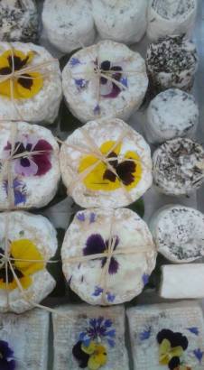 45568528_2222840057727504_9161705952980762624_n