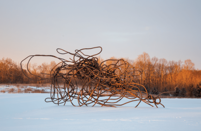 Screen Shot 2019-02-07 at 11.15.50 AM