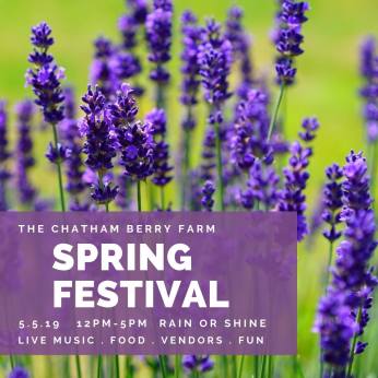 50902185_2116545371738439_4024220782522531840_o