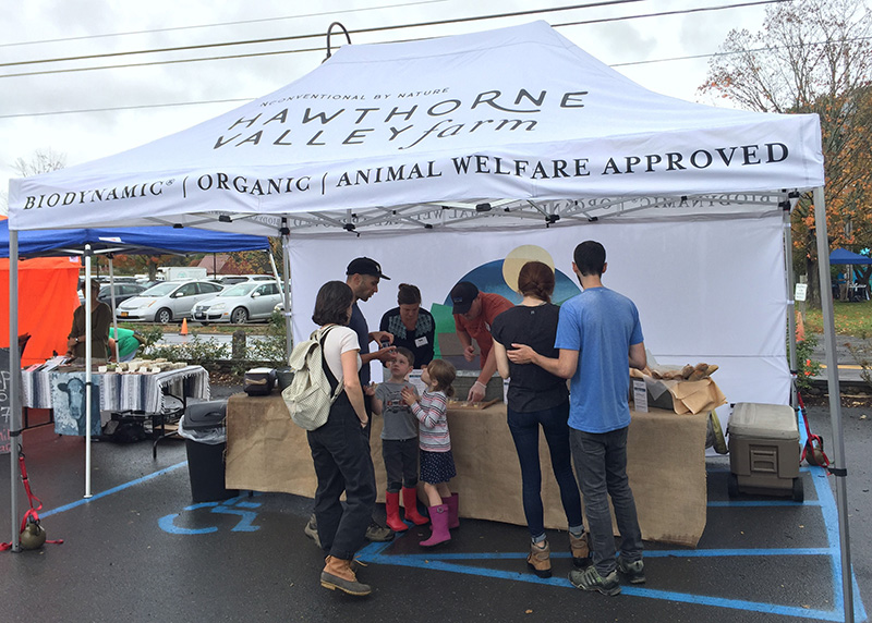 Fall-Fest-Greenmarket-3-sm-slider