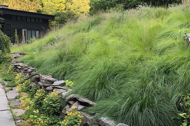 NYCC_Garden of Linda Horn_Prairie dropseed hill_web