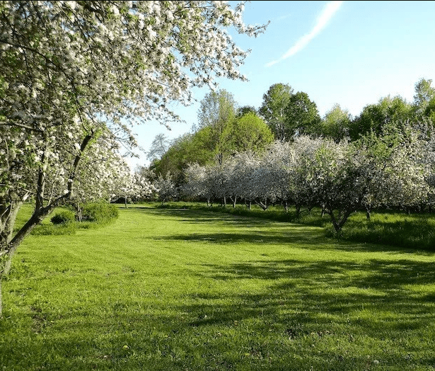 Screen Shot 2019-09-18 at 7.44.45 PM