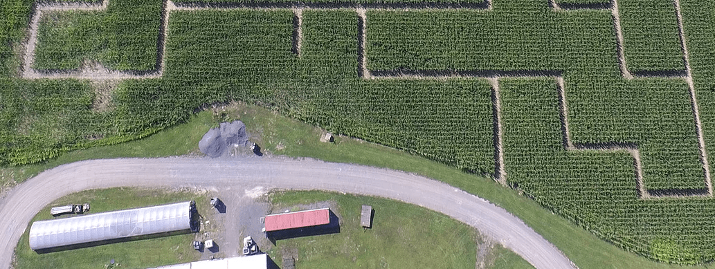 Samascott’s Annual Corn Maze is&nbsp;Open!