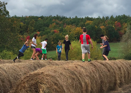 Screen Shot 2019-09-29 at 4.16.09 PM