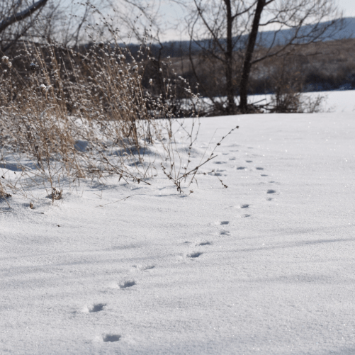 Screen Shot 2020-01-24 at 2.40.08 PM