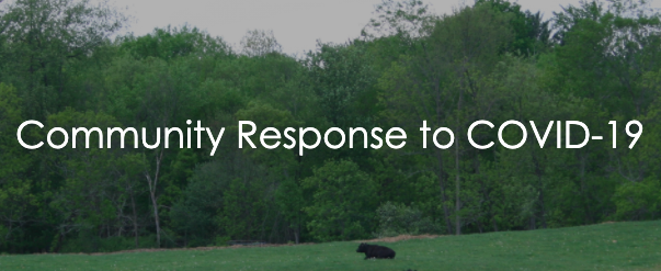 Screen Shot 2020-05-11 at 5.33.40 PM