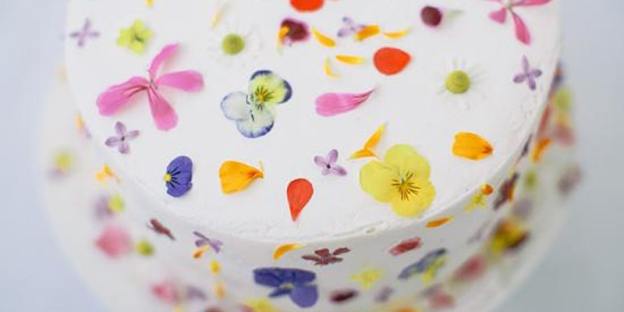 https___cdn.evbuc.com_images_98102420_208586236981_1_original