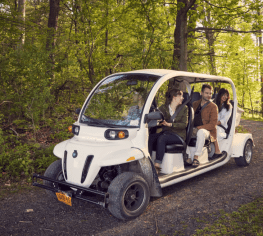 Screen Shot 2020-07-30 at 7.26.08 PM