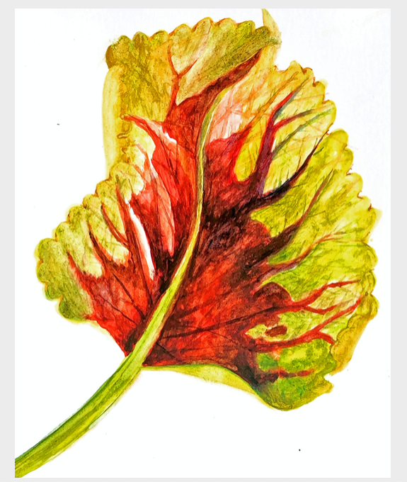 Screen Shot 2020-12-08 at 5.23.34 PM