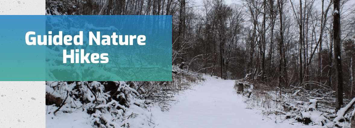 Guided Nature Hikes at&nbsp;Catamount